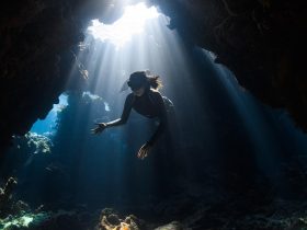 Diving into Mastery: Uncovering the Secrets Behind Your Remarkable Aquatic Aptitude