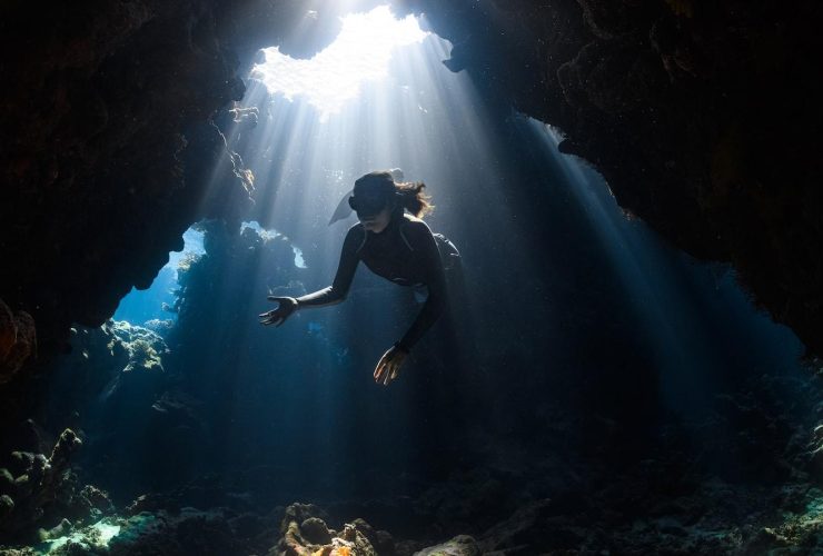 Diving into Mastery: Uncovering the Secrets Behind Your Remarkable Aquatic Aptitude