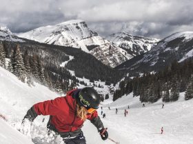 Exploring New Heights: A Beginner’s Journey into the World of Skiing