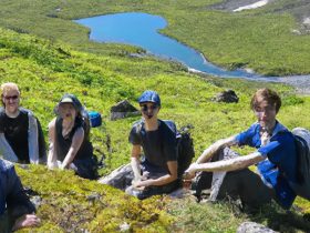 Join Our Hiking Adventure: Class Sports Project This Weekend Awaits You!