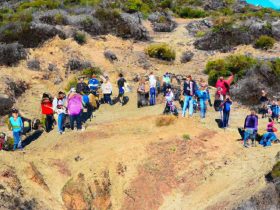 Join Us for an Adventure: Weekend Hiking Project with Our Class!